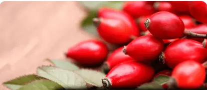 Rosehip Oil