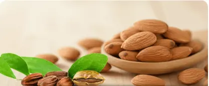Sweet Almond Oil and Jojoba Oil